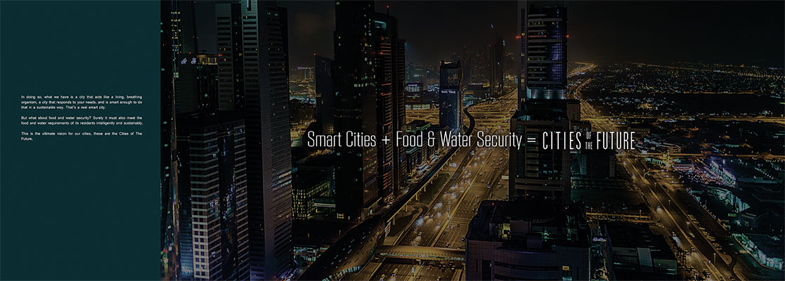 How the city fits together with food and water security